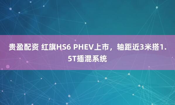 贵盈配资 红旗HS6 PHEV上市，轴距近3米搭1.5T插混系统