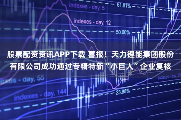 股票配资资讯APP下载 喜报！天力锂能集团股份有限公司成功通过专精特新“小巨人”企业复核
