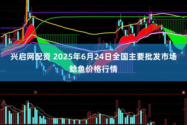 兴启网配资 2025年6月24日全国主要批发市场鲶鱼价格行情