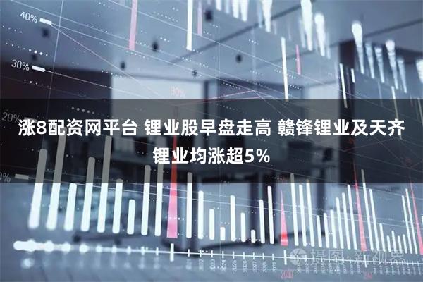 涨8配资网平台 锂业股早盘走高 赣锋锂业及天齐锂业均涨超5%