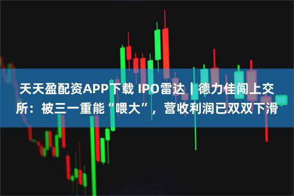 天天盈配资APP下载 IPO雷达｜德力佳闯上交所：被三一重能“喂大”，营收利润已双双下滑